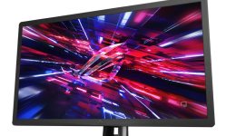 25710-medium.jpg