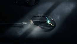 25742-medium.jpg