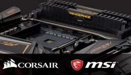 25905-medium.jpg