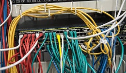 26224-medium.jpg