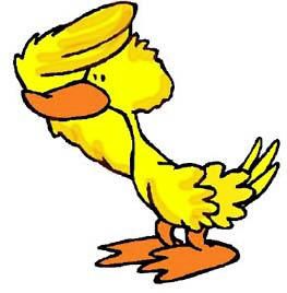 DuckHunter