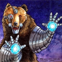 Bear304