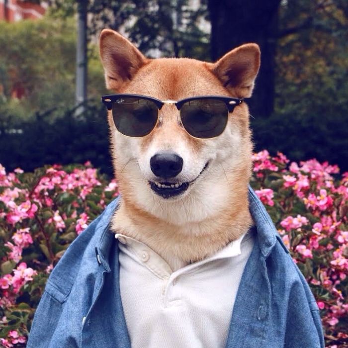 CasualPete