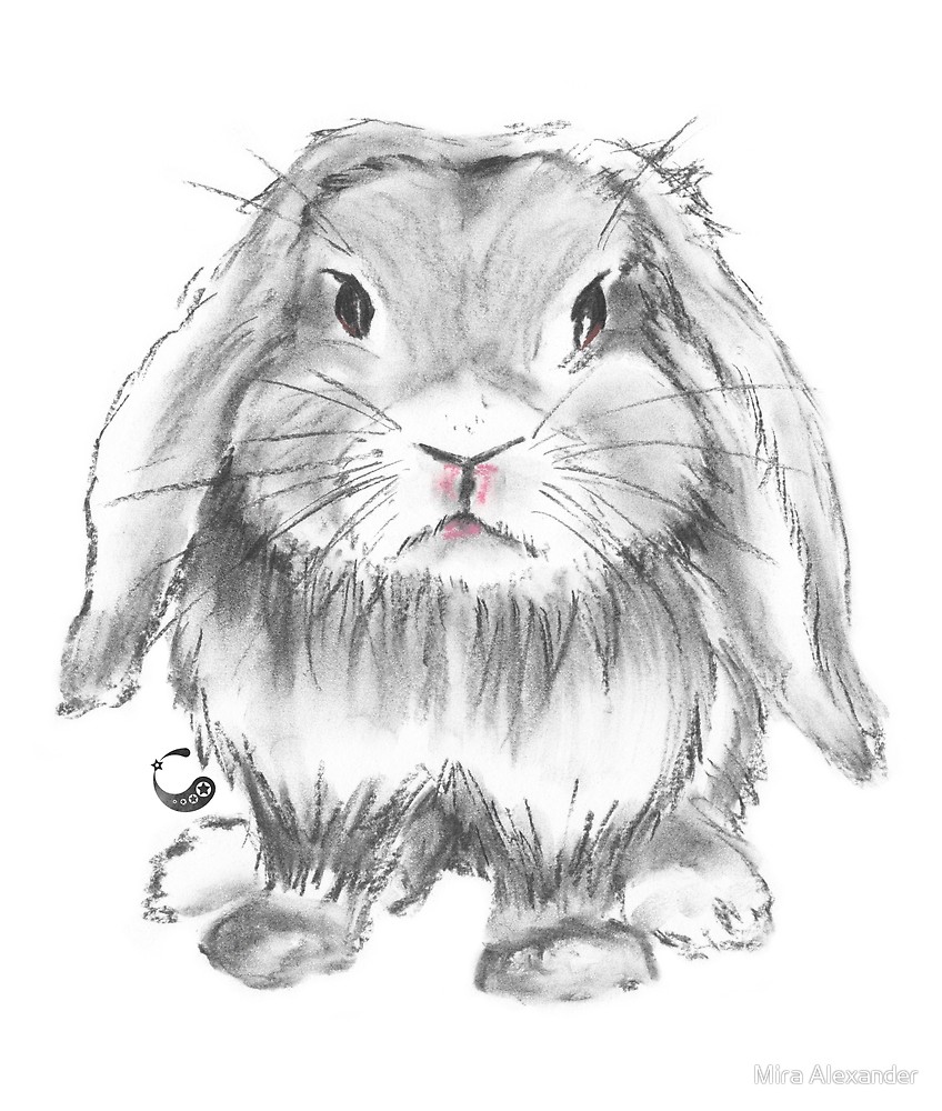 crankyrabbit